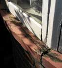 Rotten joints in bay window sill