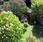 View over back garden