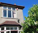 Rear of house with lilac